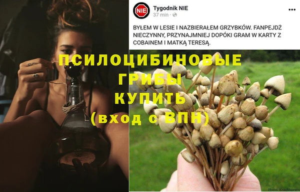 наркотики Алексин