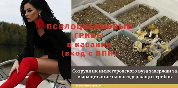 экстази Алексеевка