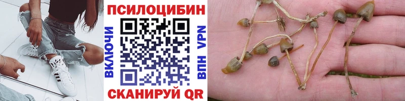 Псилоцибиновые грибы Psilocybine cubensis  купить наркоту  Макушино 